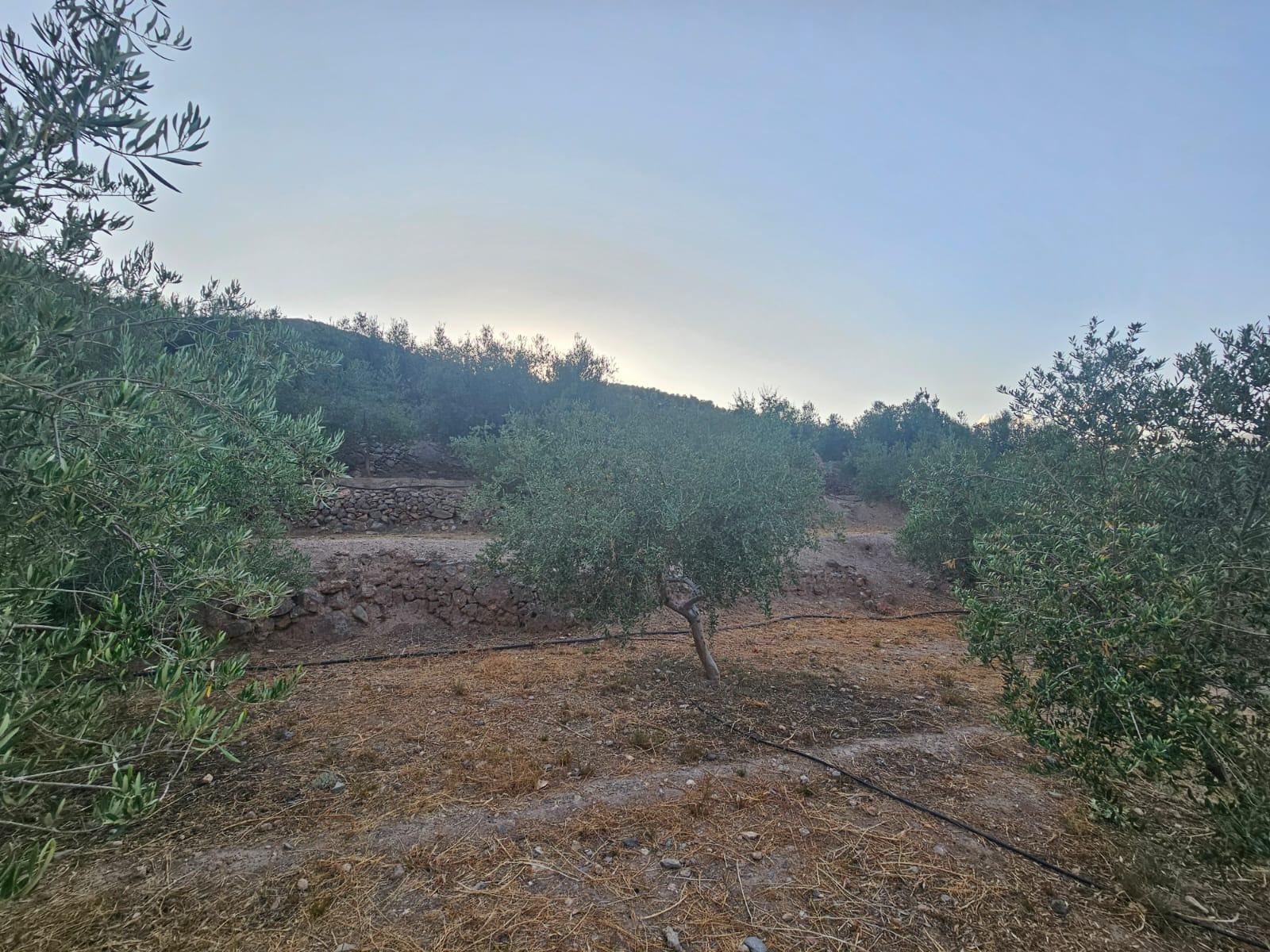 Pisos-Venta-FondÃ³n-1404795-Foto-9