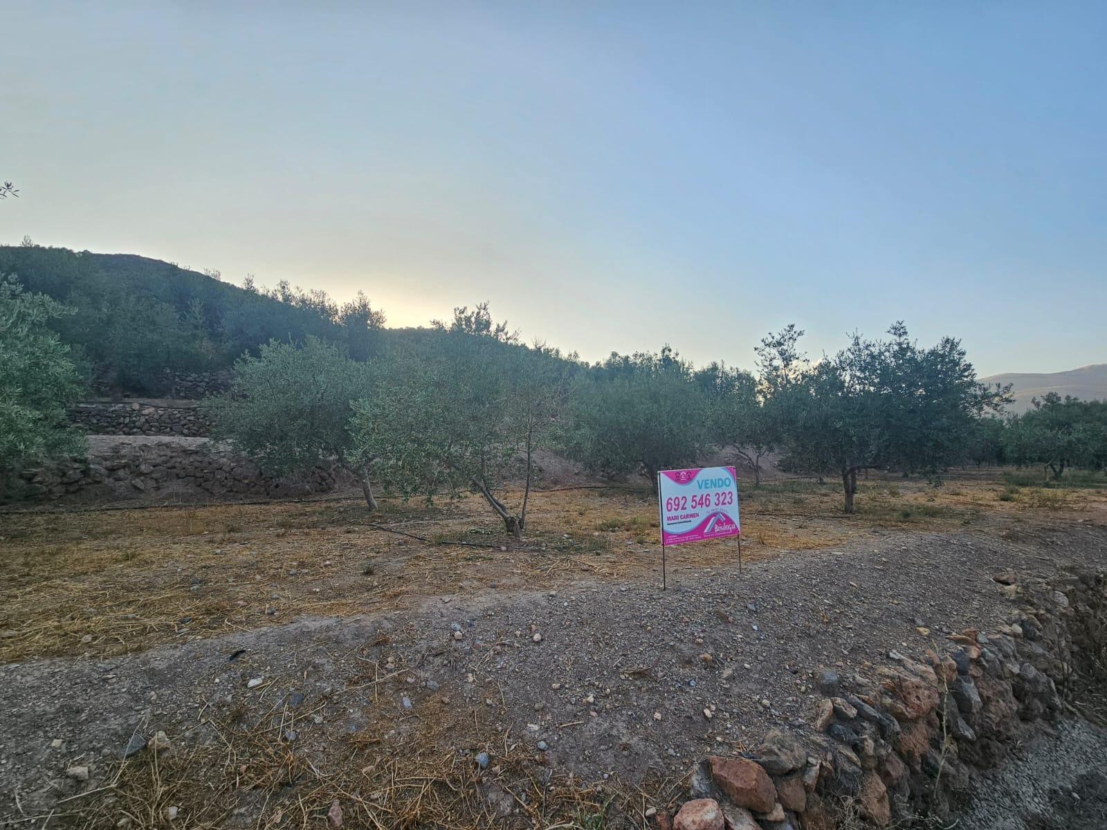 Pisos-Venta-FondÃ³n-1404795-Foto-8