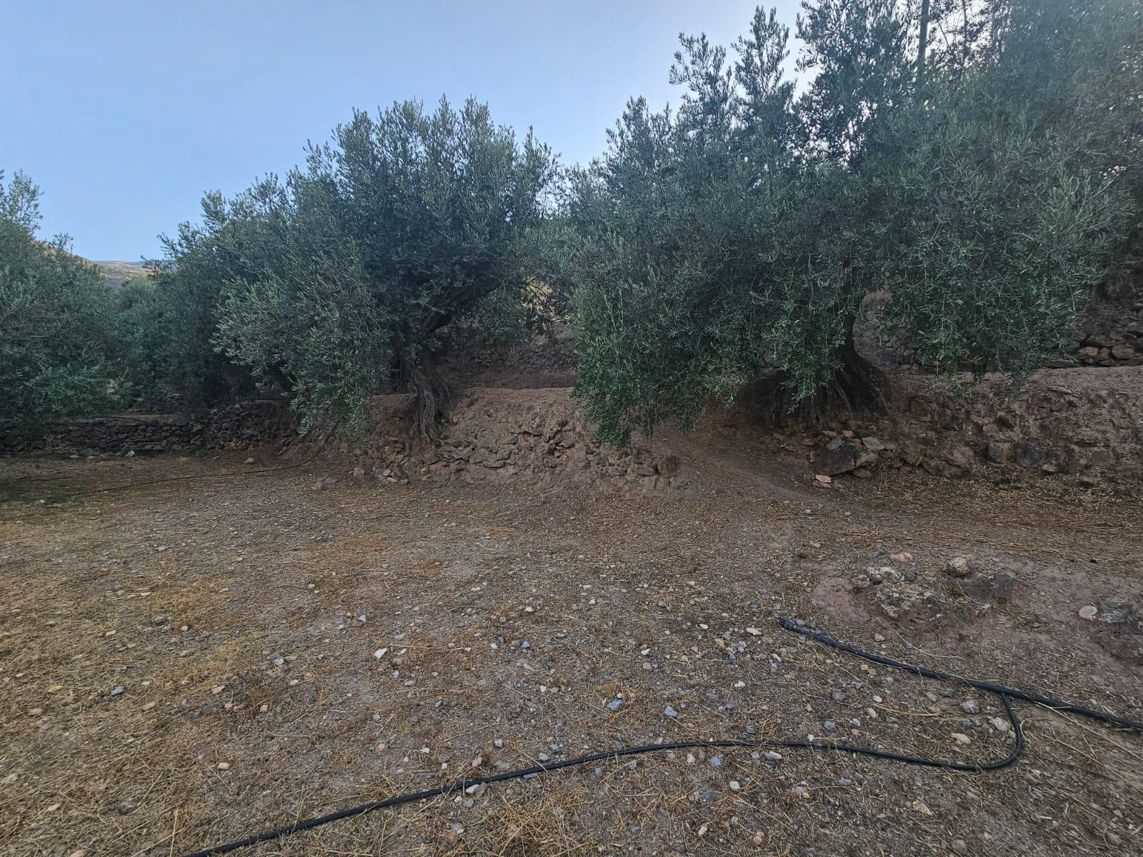 Pisos-Venta-FondÃ³n-1404795-Foto-10