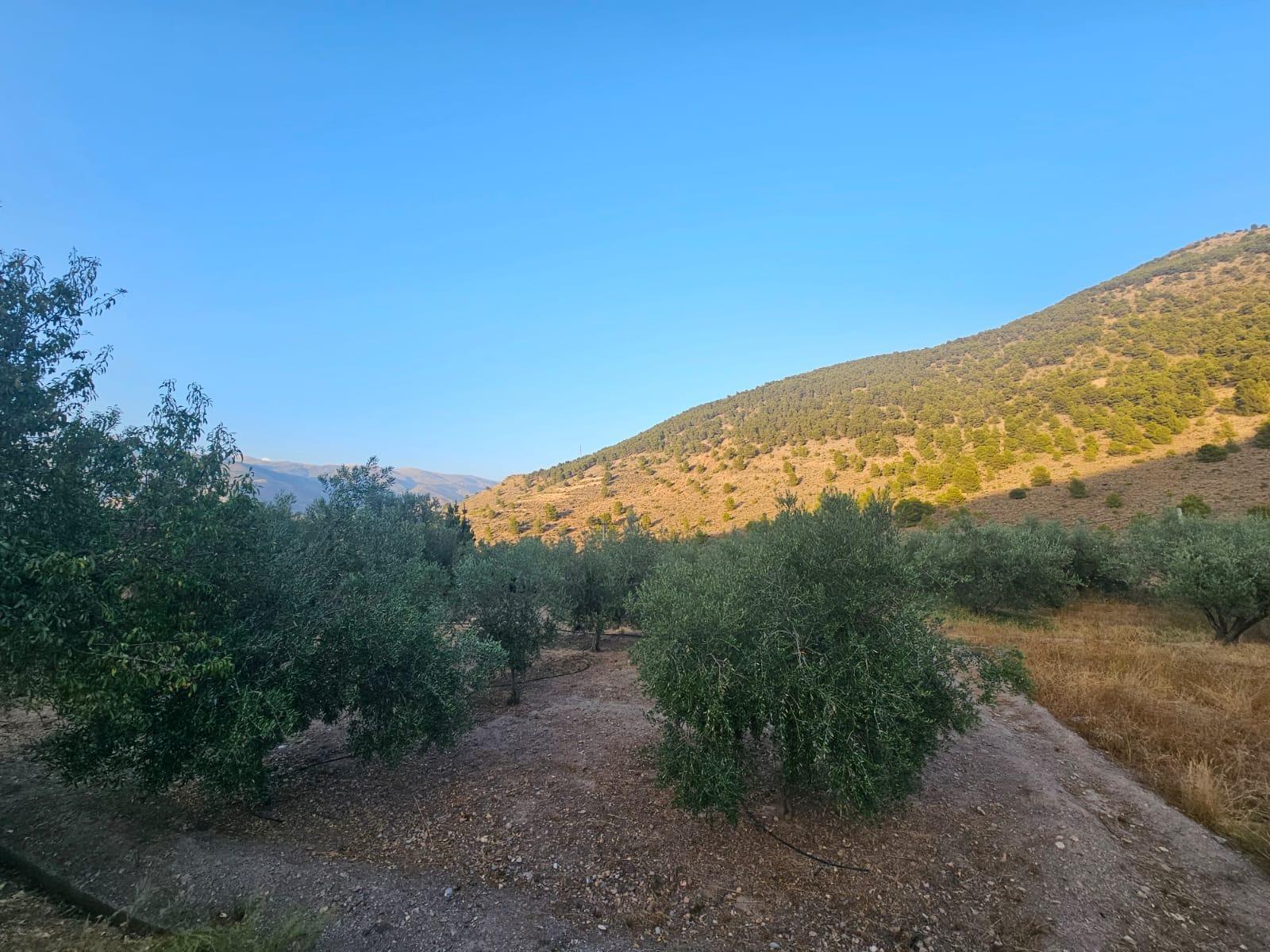 Pisos-Venta-FondÃ³n-1404795-Foto-15