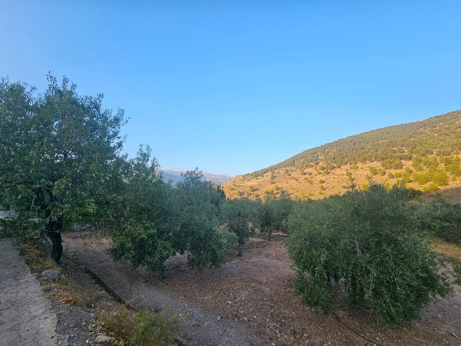 Pisos-Venta-FondÃ³n-1404795-Foto-14