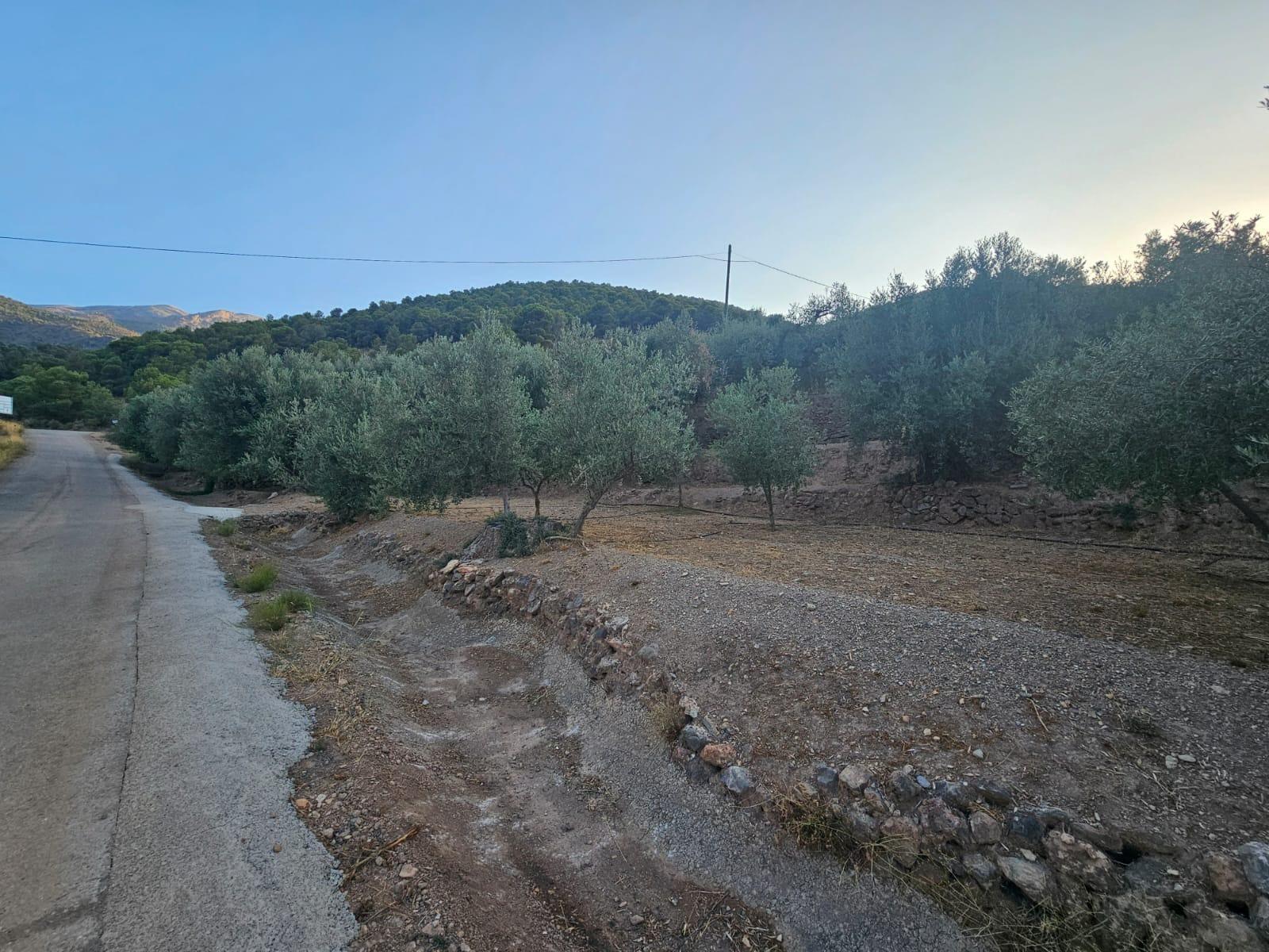Pisos-Venta-FondÃ³n-1404795-Foto-13