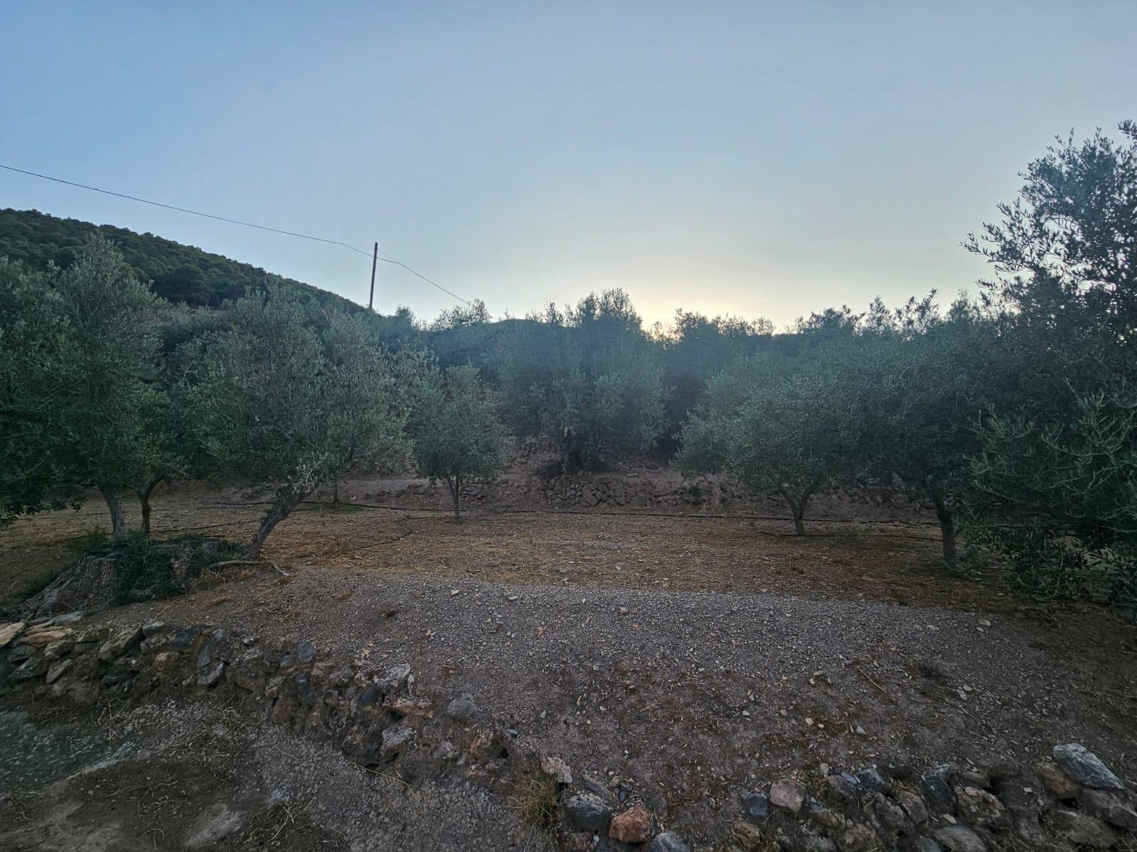 Pisos-Venta-FondÃ³n-1404795-Foto-11