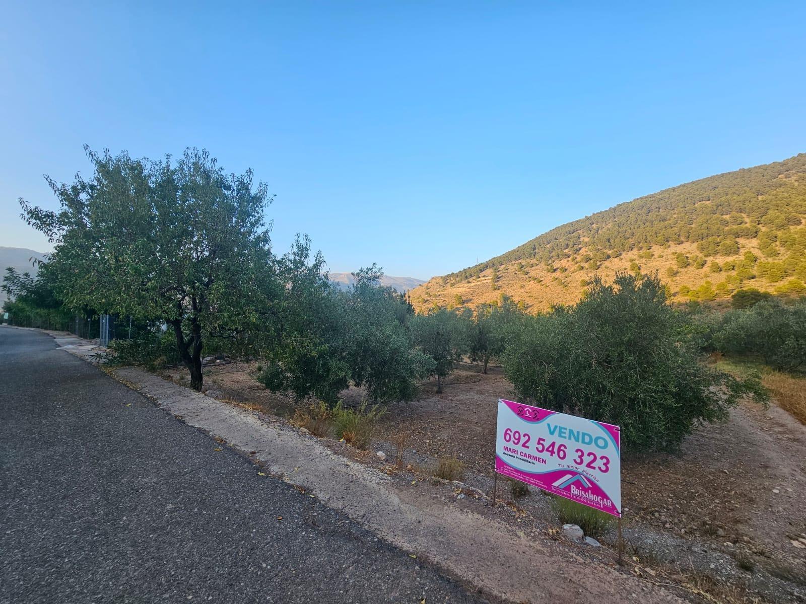 Pisos-Venta-FondÃ³n-1404795-Foto-16