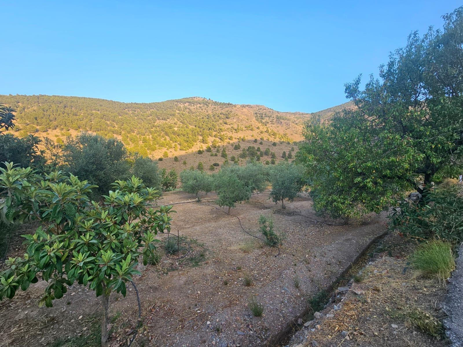 Pisos-Venta-FondÃ³n-1404795-Foto-20