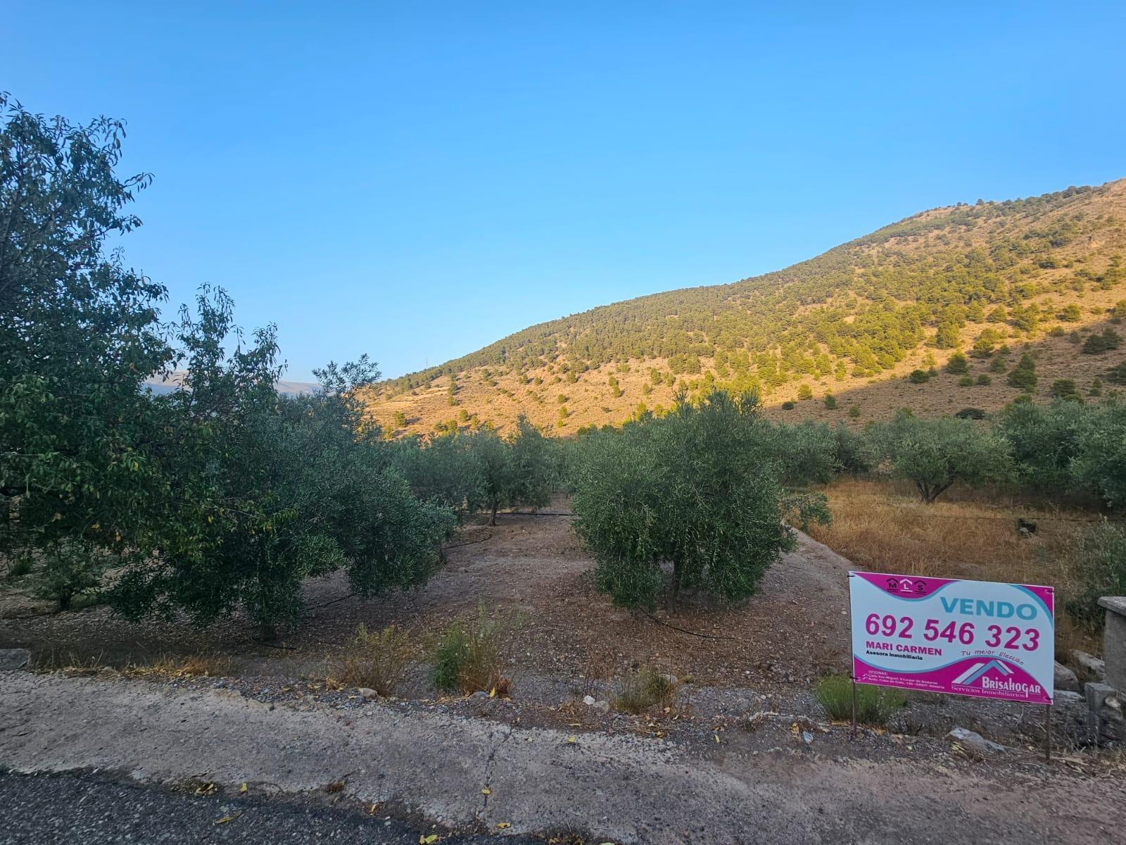 Pisos-Venta-FondÃ³n-1404795-Foto-18