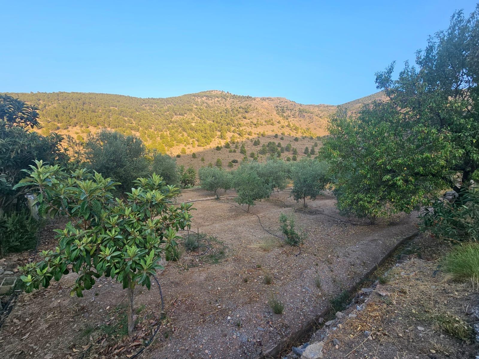 Pisos-Venta-FondÃ³n-1404795-Foto-19