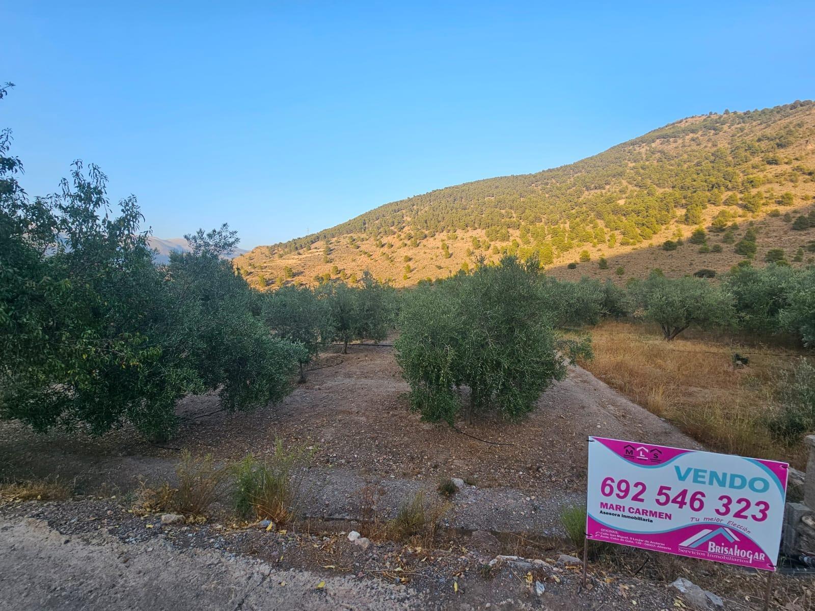 Pisos-Venta-FondÃ³n-1404795-Foto-17
