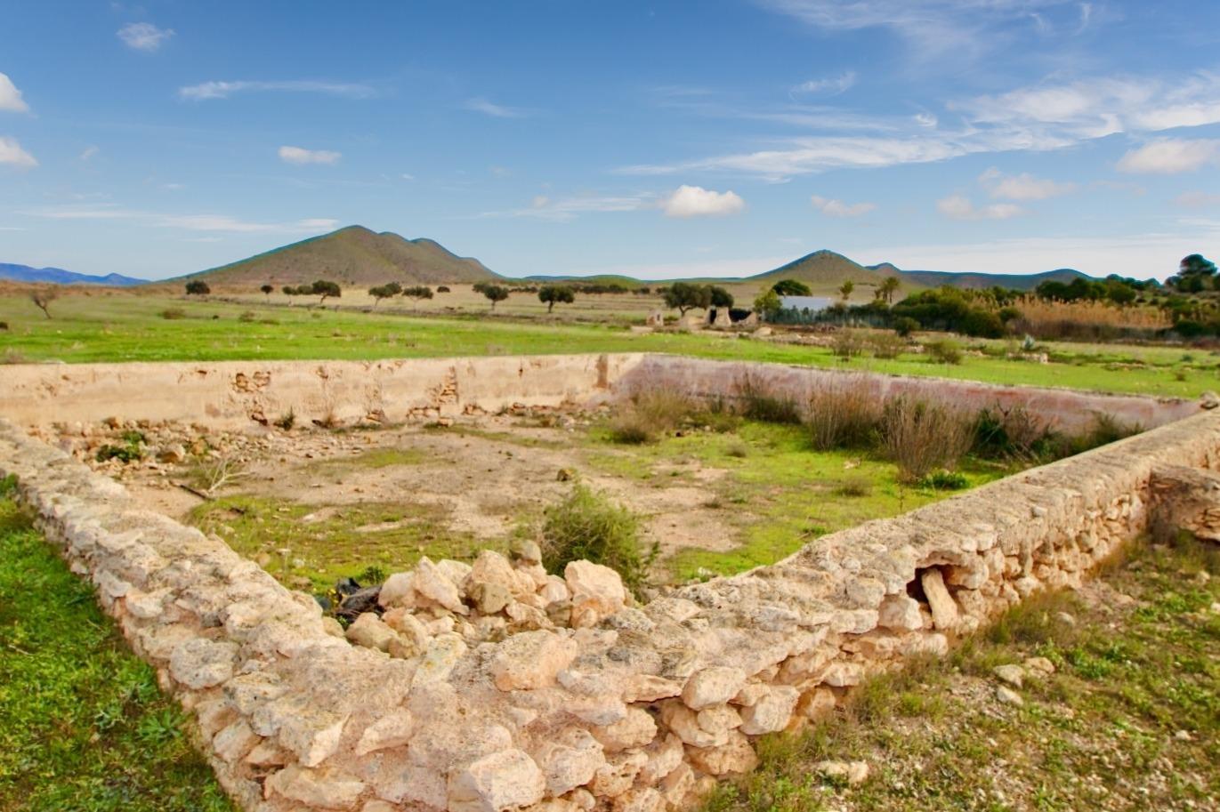 Pisos-Venta-NÃ­jar-1066257-Foto-12