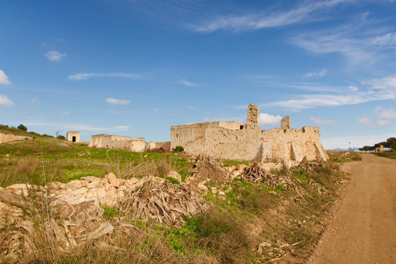 Pisos-Venta-NÃ­jar-1066257-Foto-17