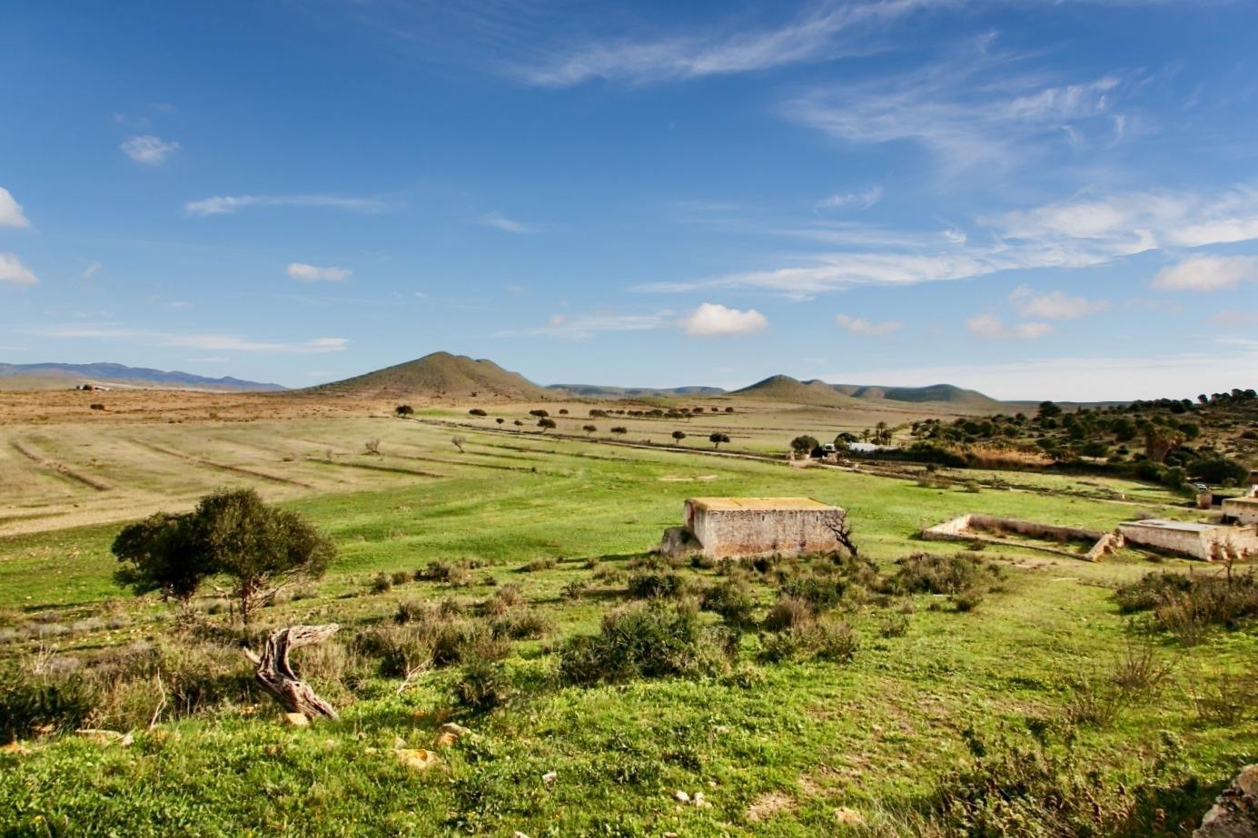 Pisos-Venta-NÃ­jar-1066257-Foto-24