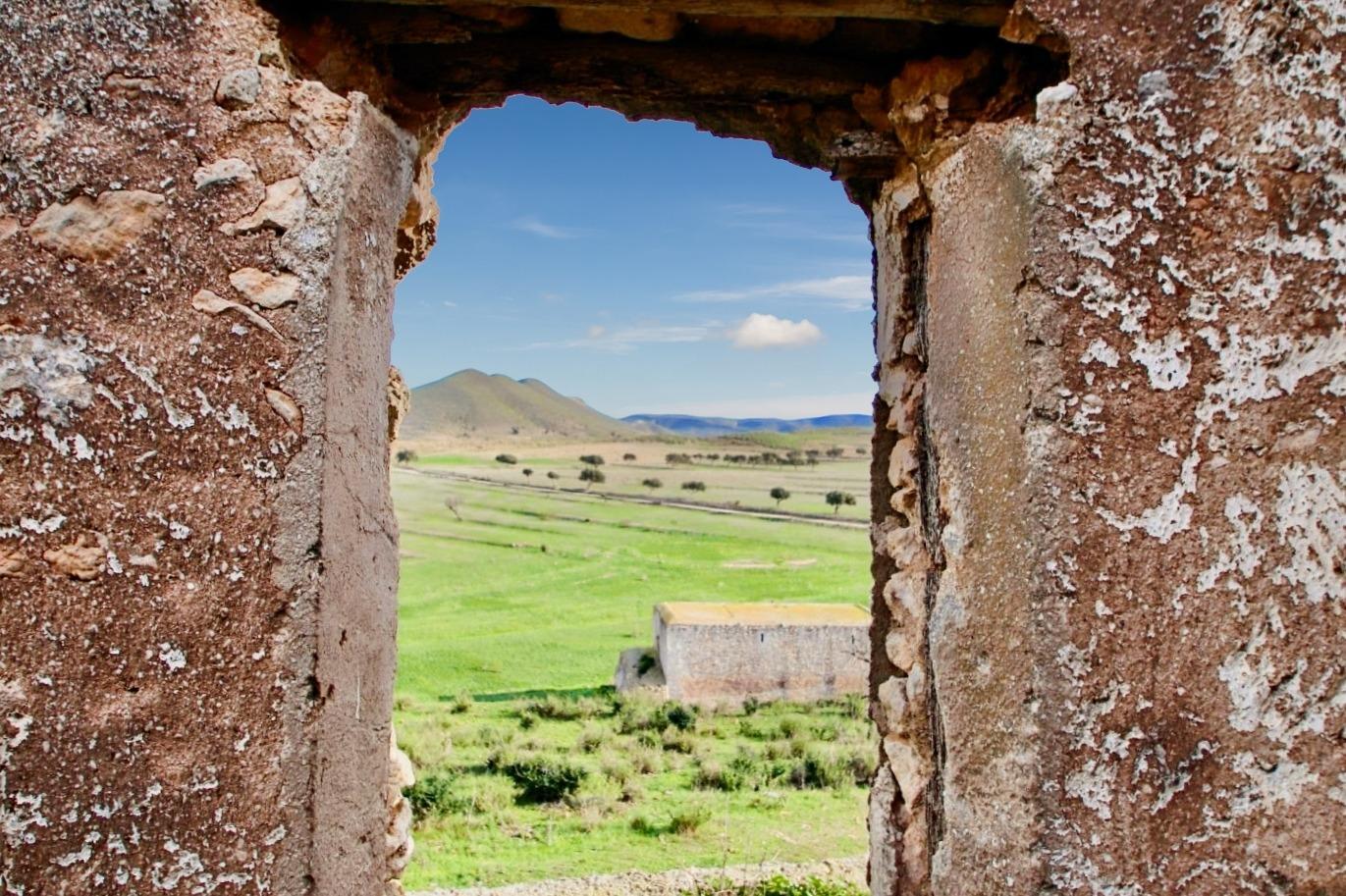 Pisos-Venta-NÃ­jar-1066257-Foto-22
