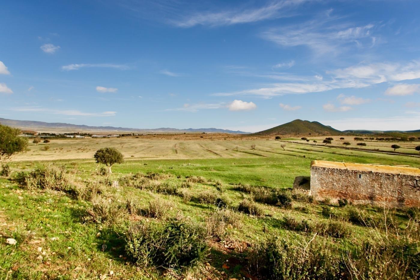 Pisos-Venta-NÃ­jar-1066257-Foto-23