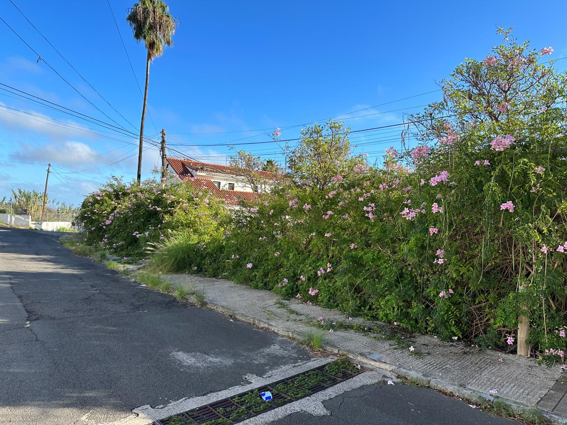 Fincas y solares-Venta-1642715