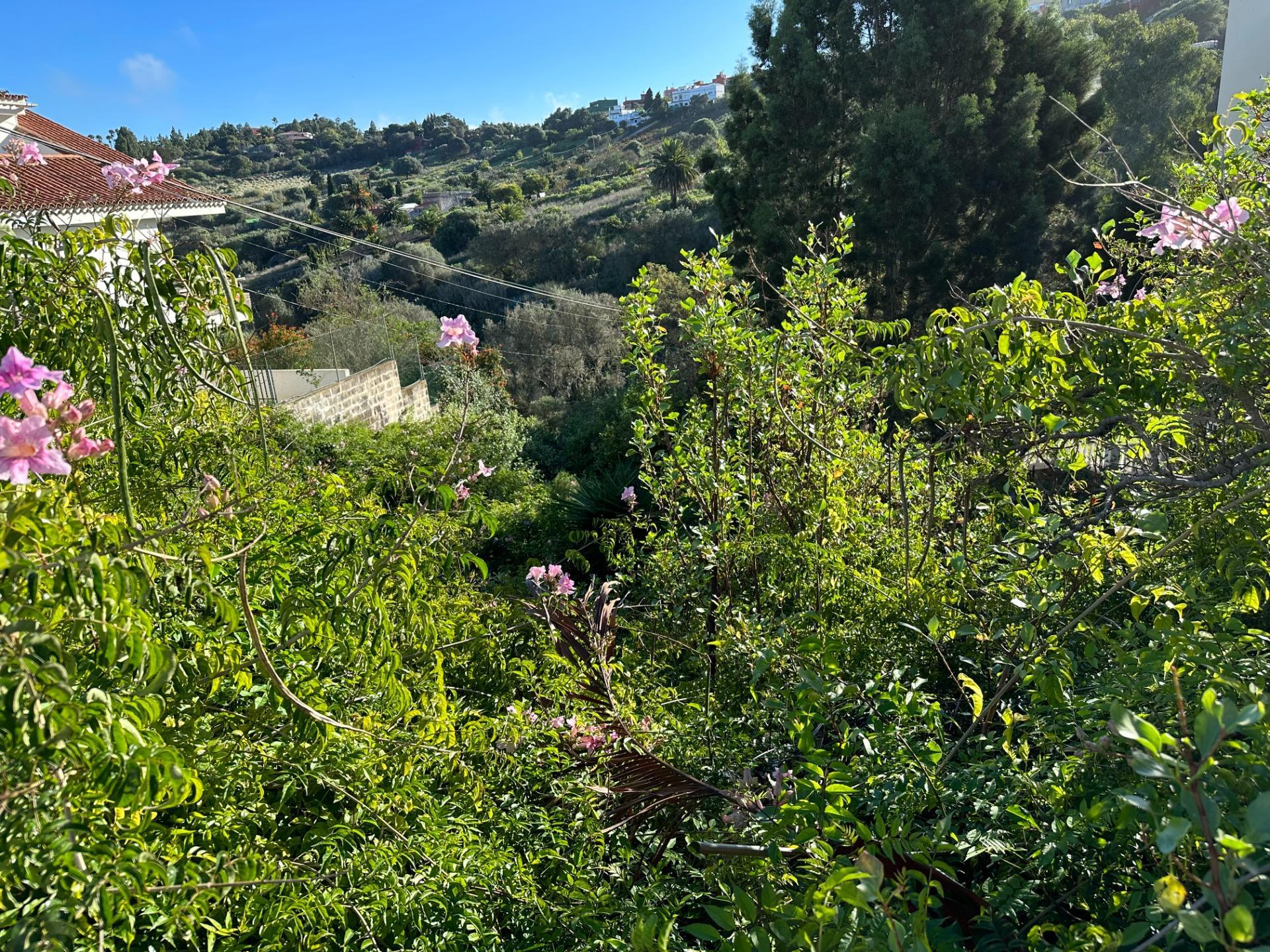 Fincas y solares-Venta-Santa BrÃ­gida-1642715-Foto-3