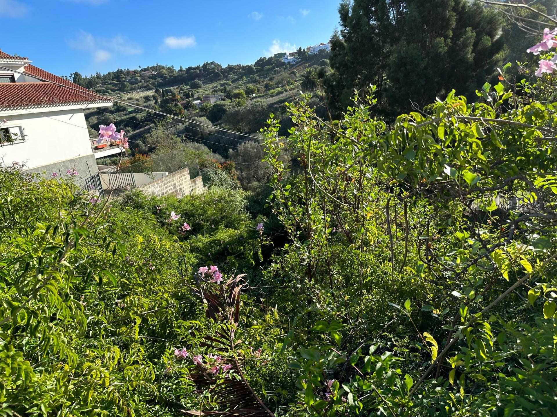 Fincas y solares-Venta-Santa BrÃ­gida-1642715-Foto-8