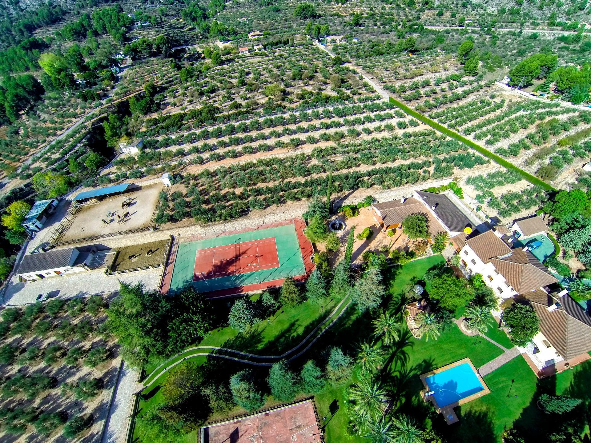 Casas o chalets-Venta-Muro de Alcoy-1654641-Foto-4