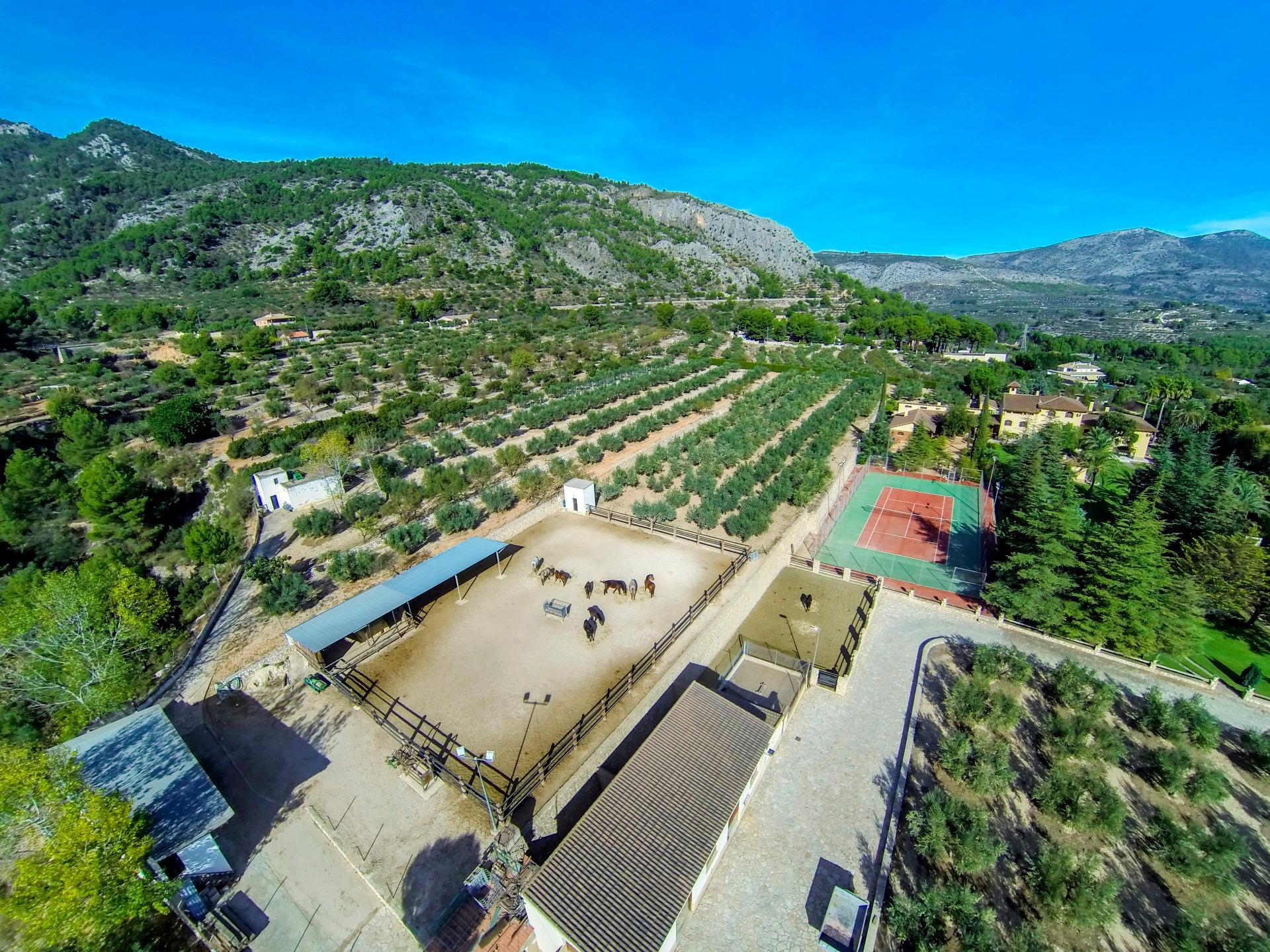 Casas o chalets-Venta-Muro de Alcoy-1654641-Foto-6