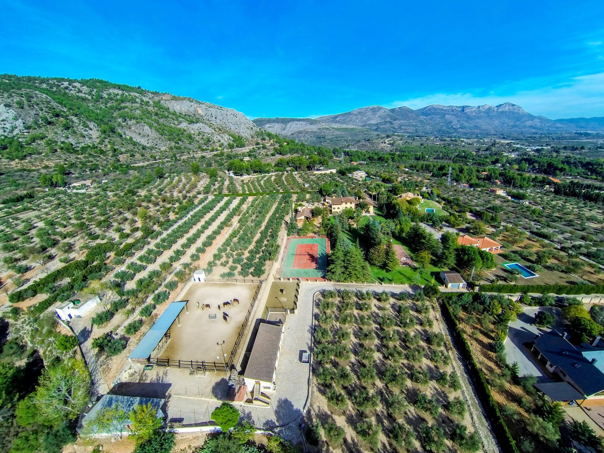 Casas o chalets-Venta-Muro de Alcoy-1654641-Foto-10