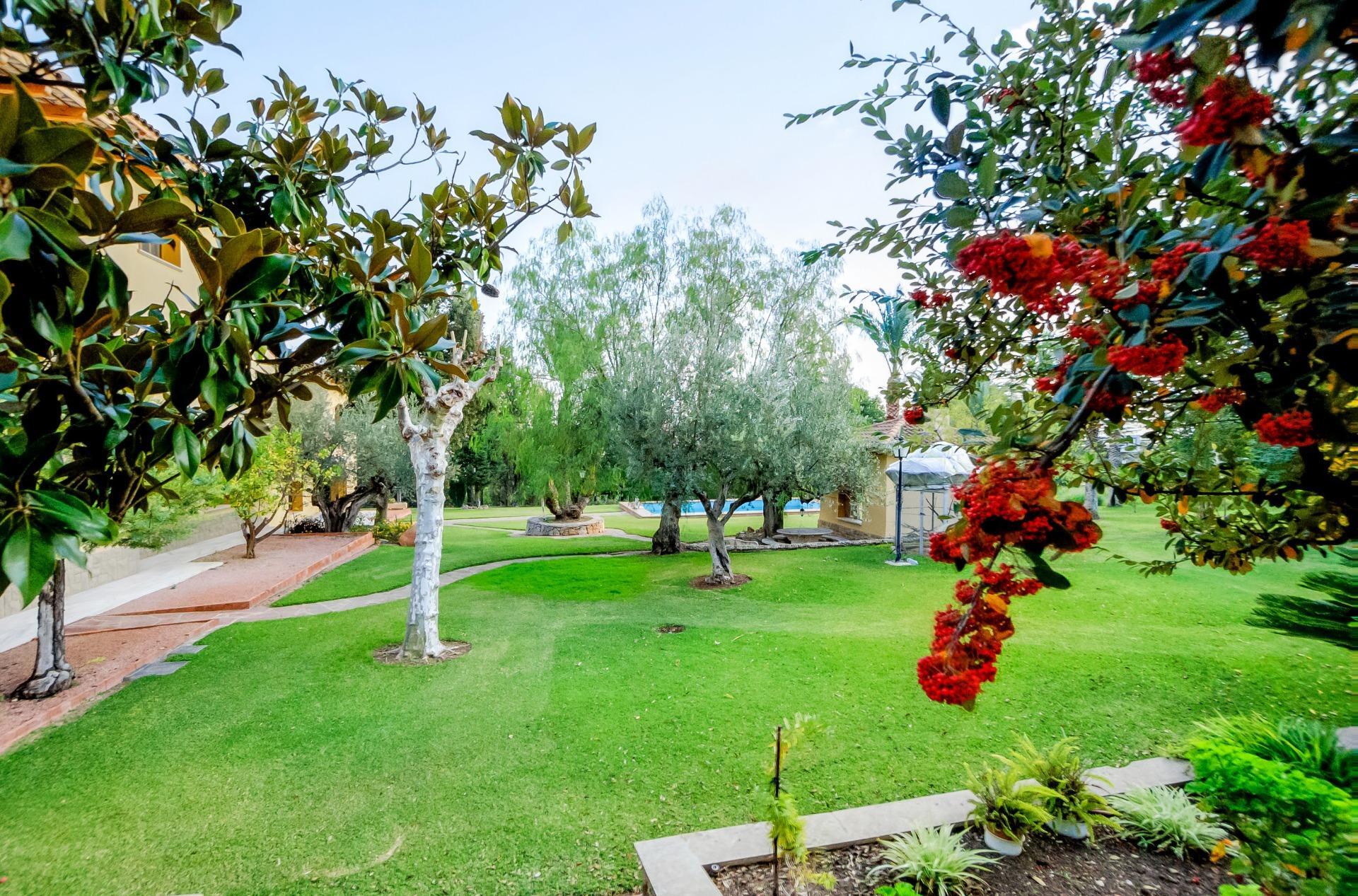 Casas o chalets-Venta-Muro de Alcoy-1654641-Foto-17