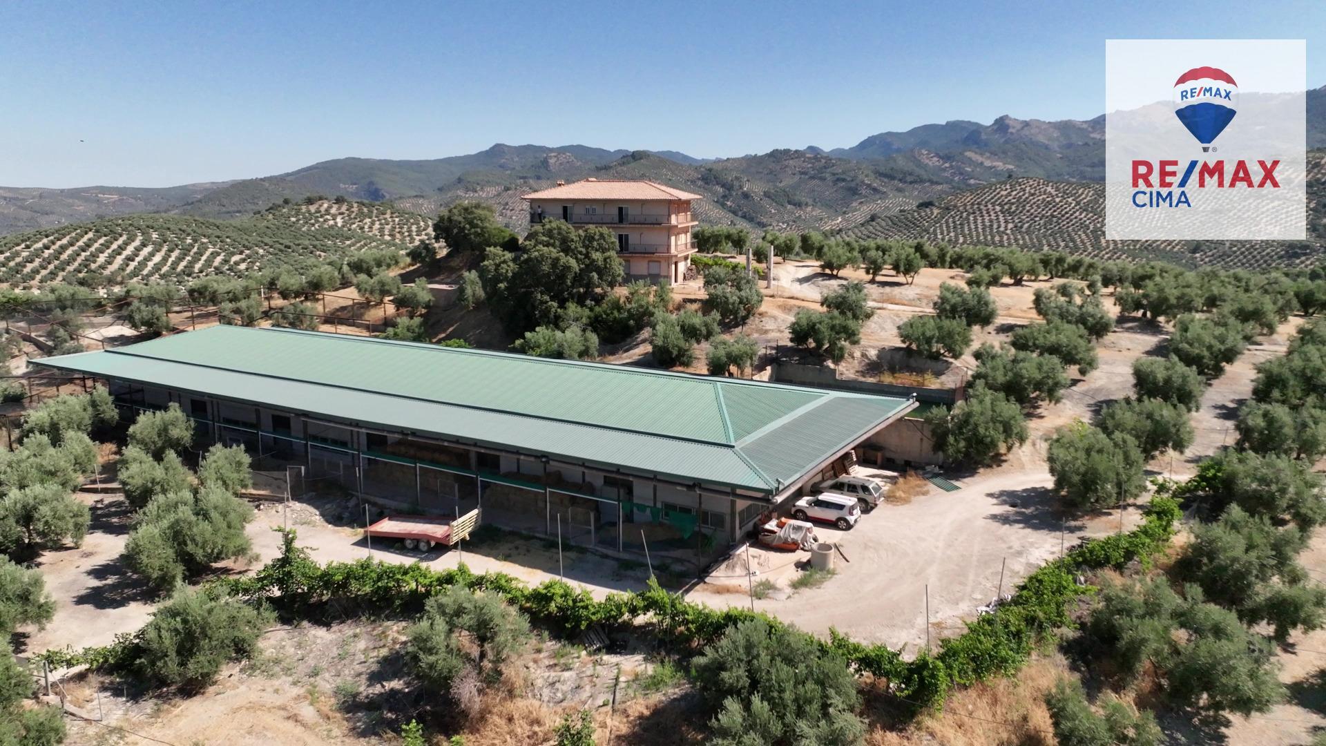 Fincas y solares-Venta-La Iruela-1264256