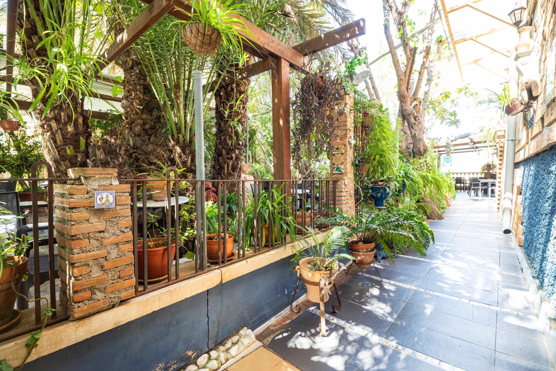 Negocios-Venta-Murcia-1684753-Foto-15