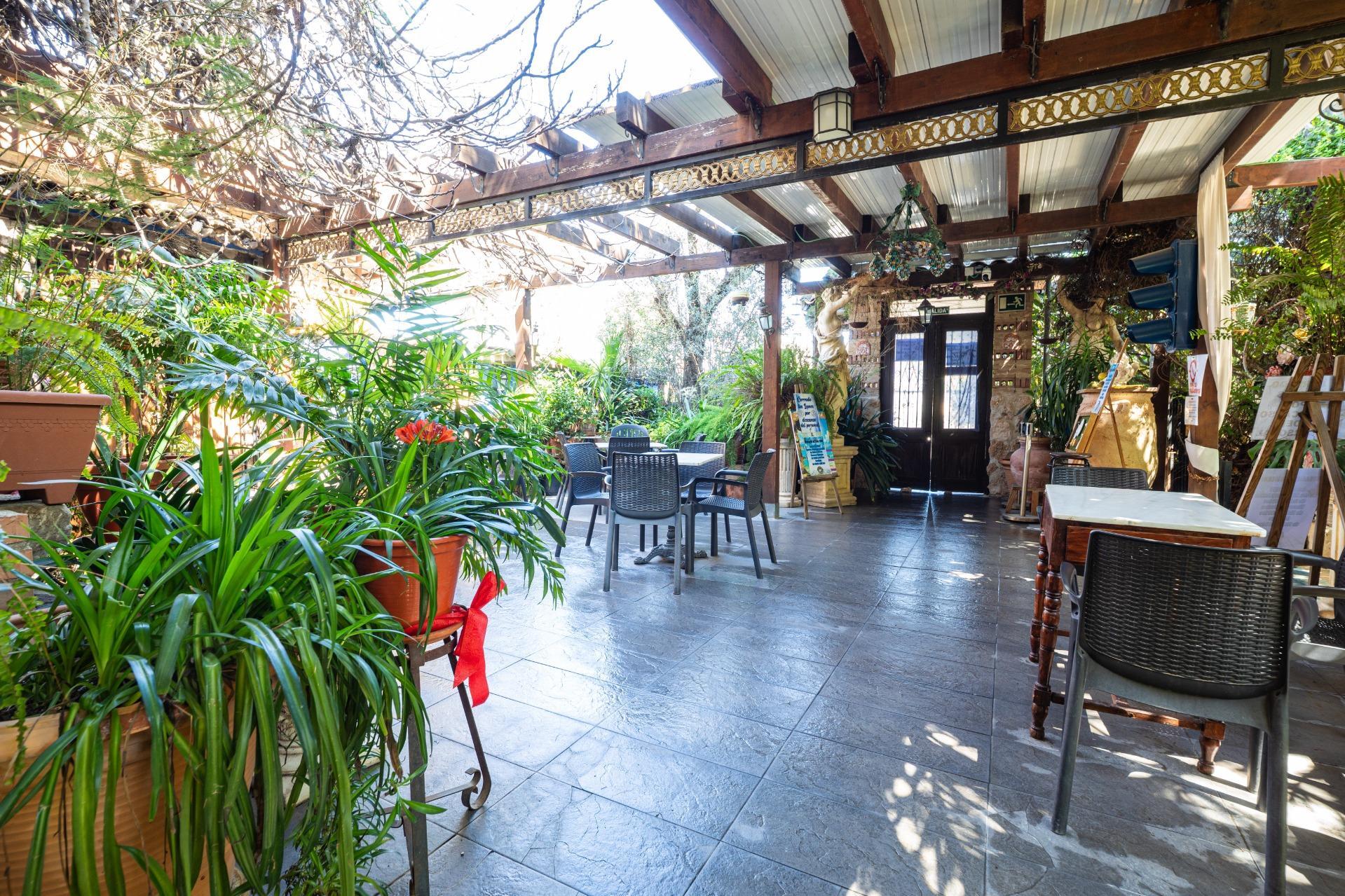 Negocios-Venta-Murcia-1684753-Foto-17