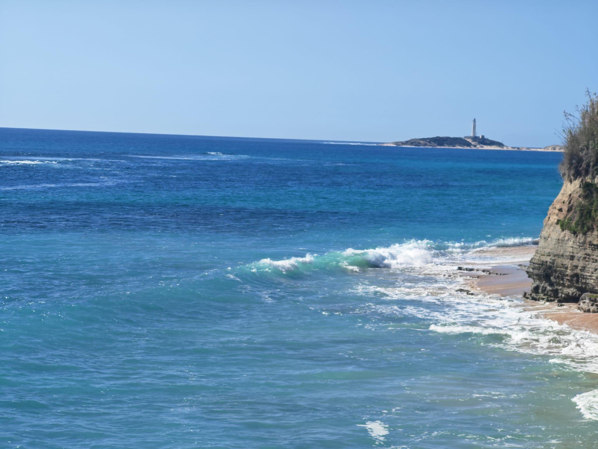 Casas o chalets-Venta-Barbate-1701012-Foto-6