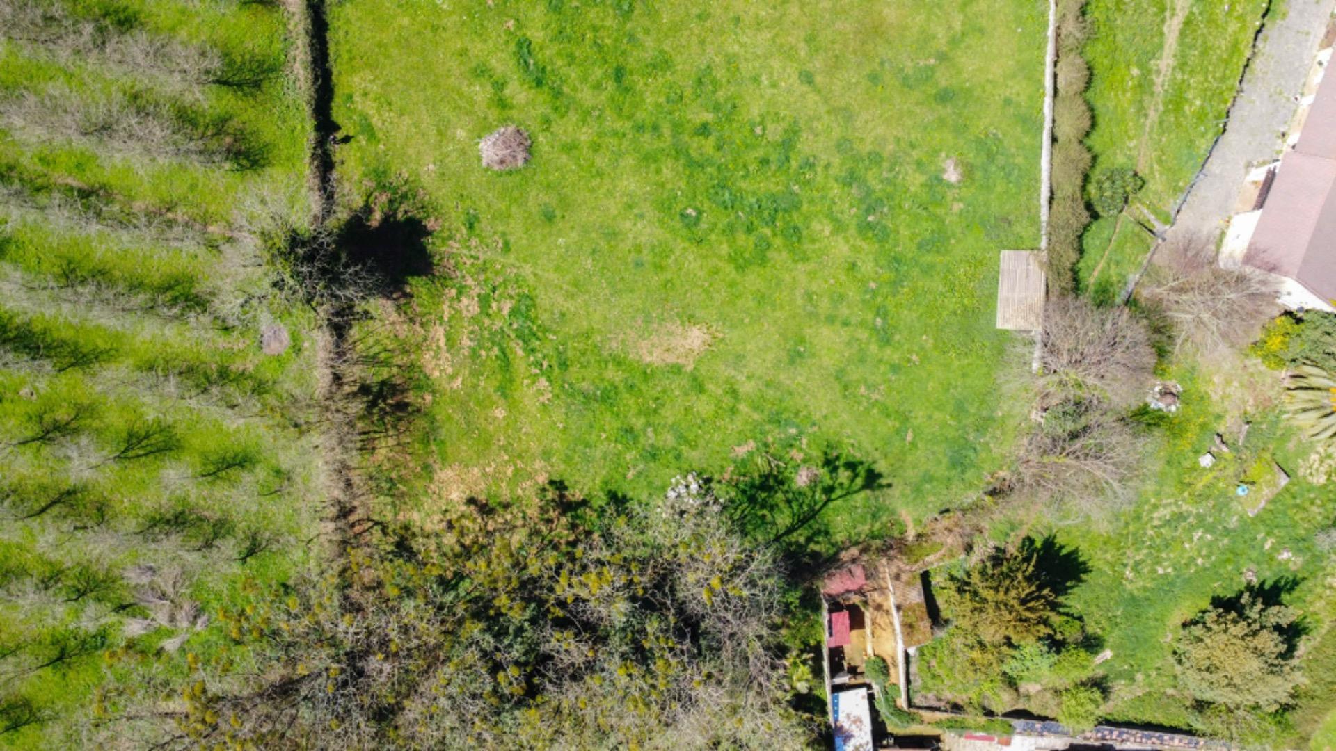 Fincas y solares-Venta-Siero-1710345-Foto-4