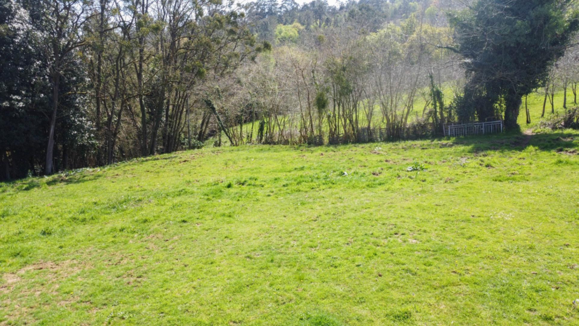 Fincas y solares-Venta-Siero-1710345-Foto-6