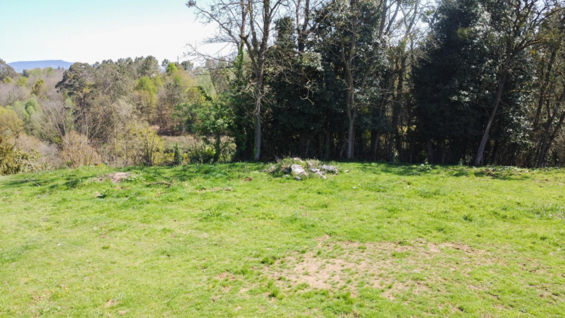 Fincas y solares-Venta-Siero-1710345-Foto-15