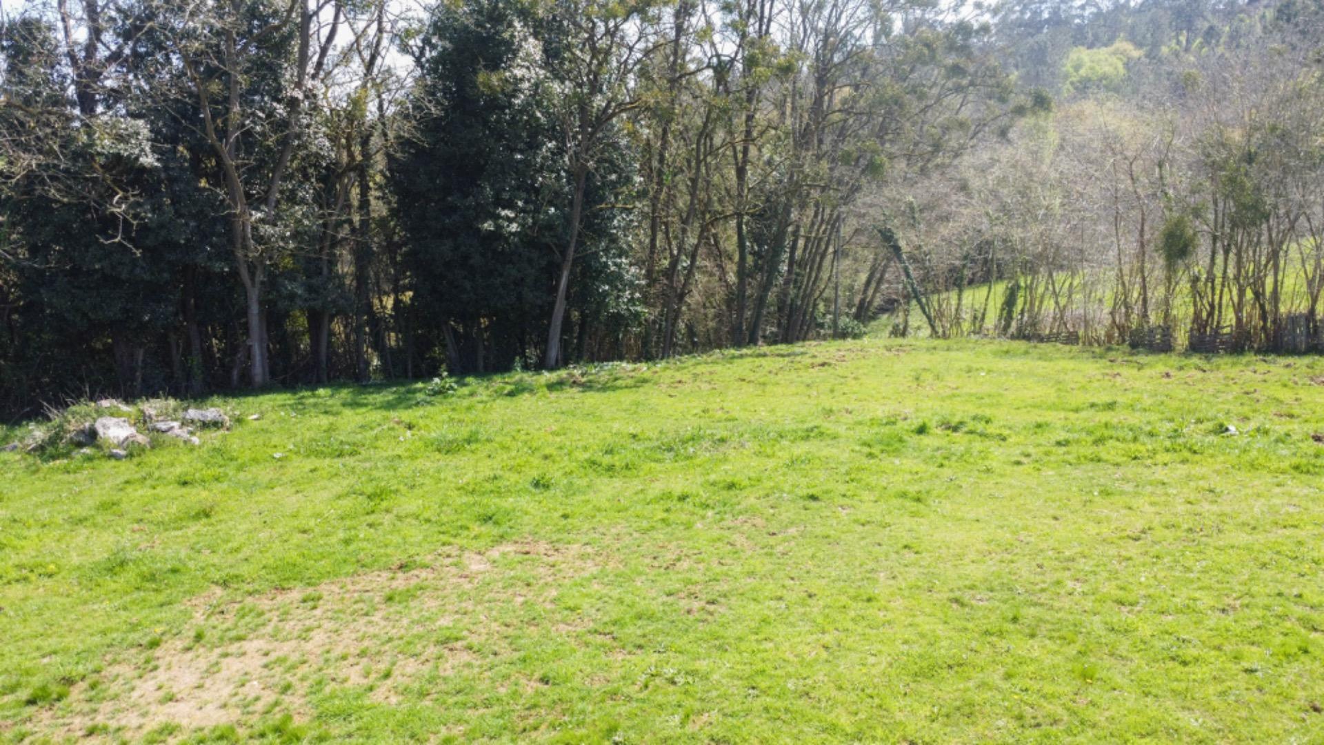 Fincas y solares-Venta-Siero-1710345-Foto-14