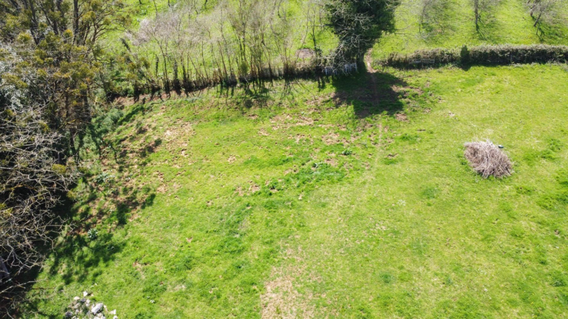 Fincas y solares-Venta-Siero-1710345-Foto-18