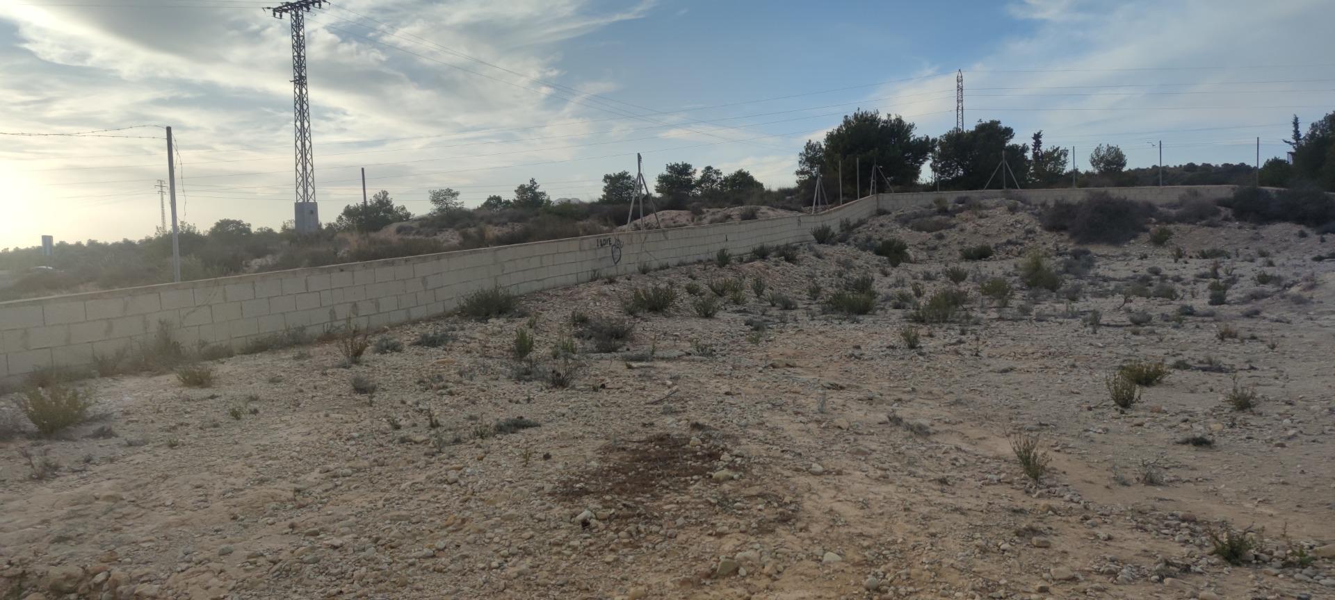 Fincas y solares-Venta-Elche-1730308-Foto-4