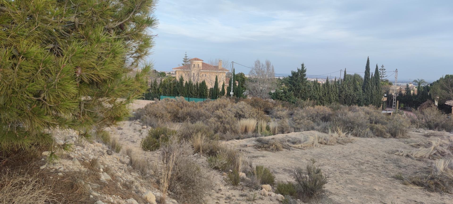 Fincas y solares-Venta-Elche-1730308-Foto-3