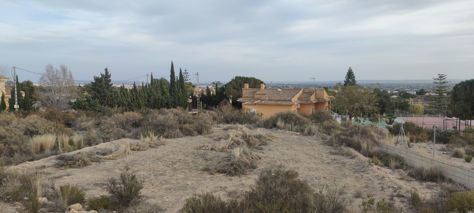 Fincas y solares-Venta-Elche-1730308-Foto-5