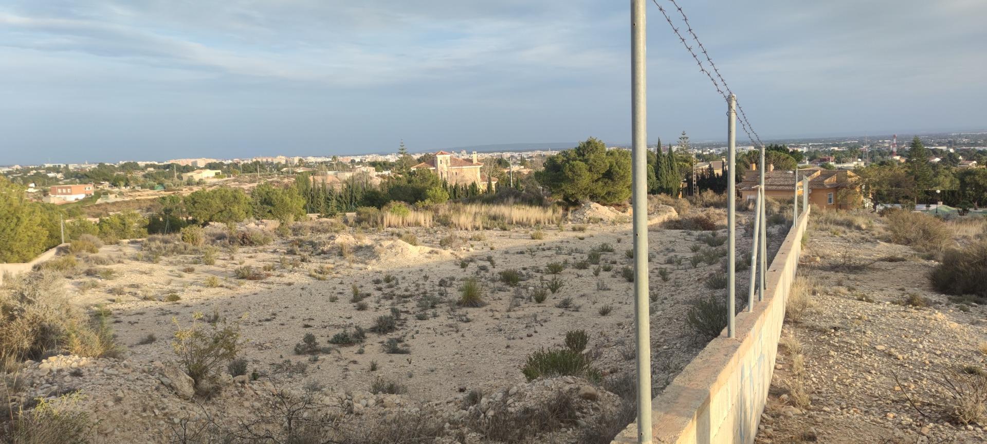Fincas y solares-Venta-Elche-1730308-Foto-2