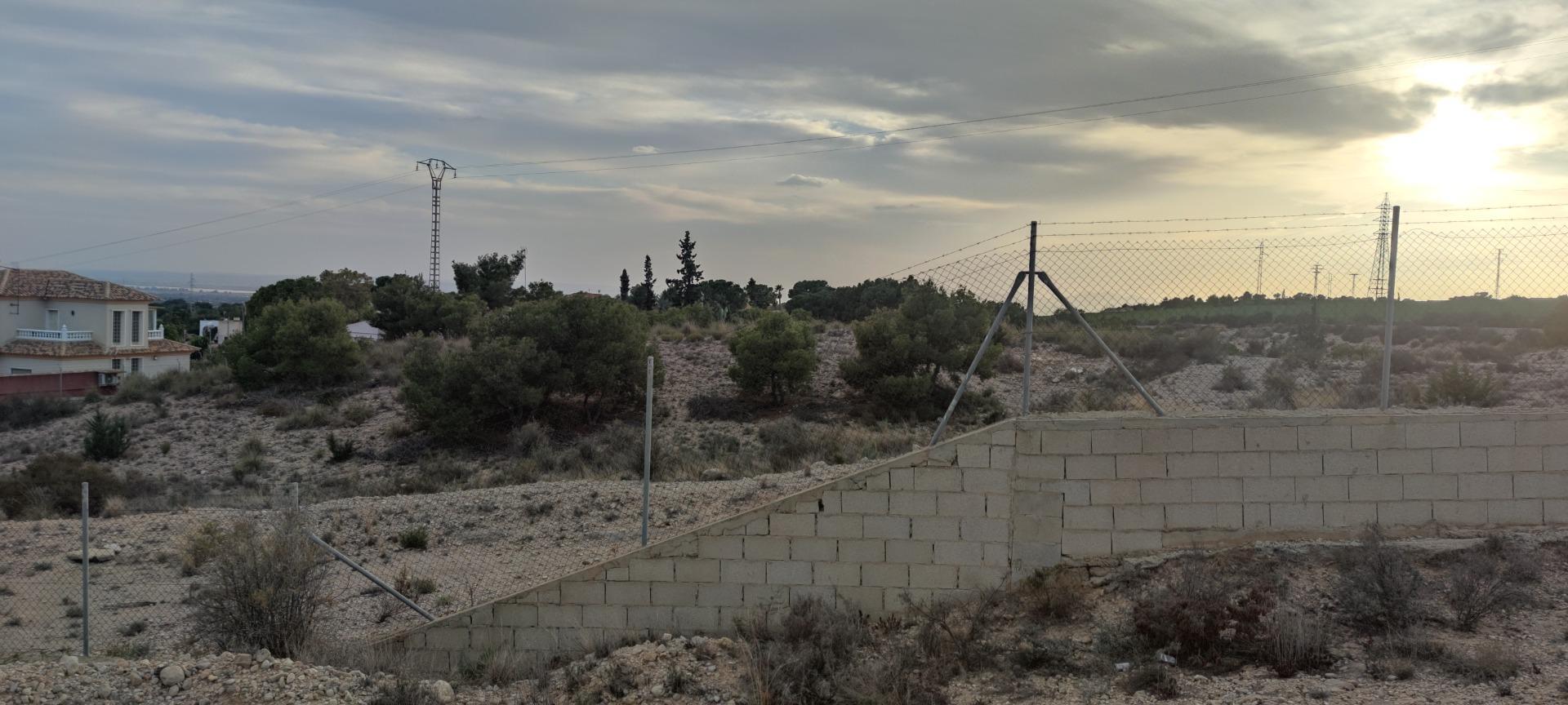 Fincas y solares-Venta-Elche-1730308-Foto-8