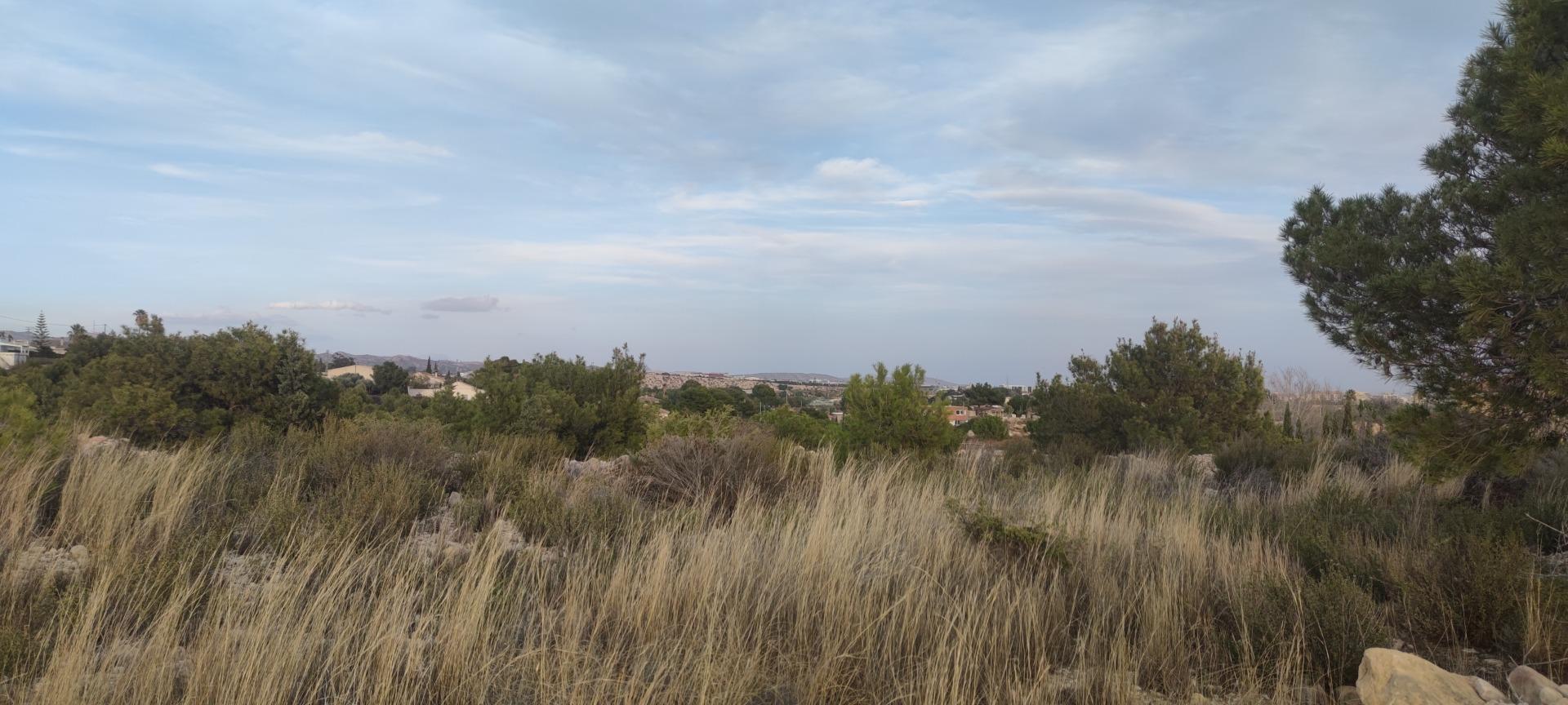 Fincas y solares-Venta-Elche-1730308-Foto-9