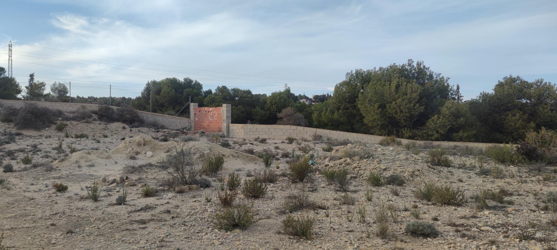 Fincas y solares-Venta-Elche-1730308-Foto-10