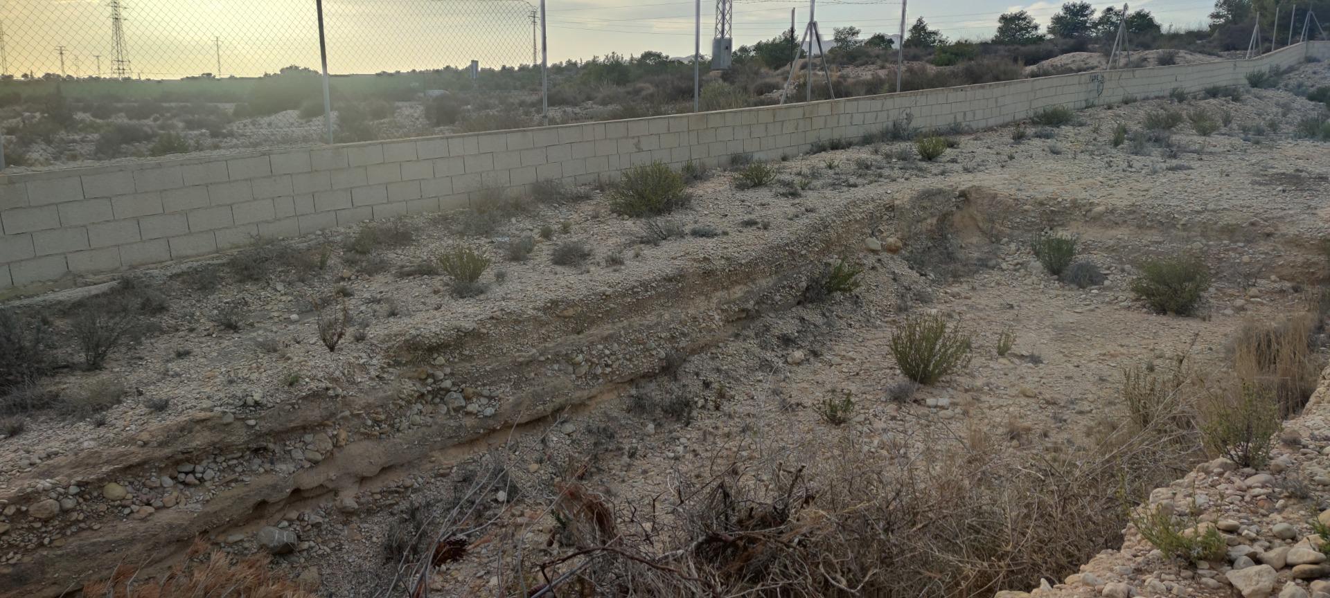 Fincas y solares-Venta-Elche-1730308-Foto-7