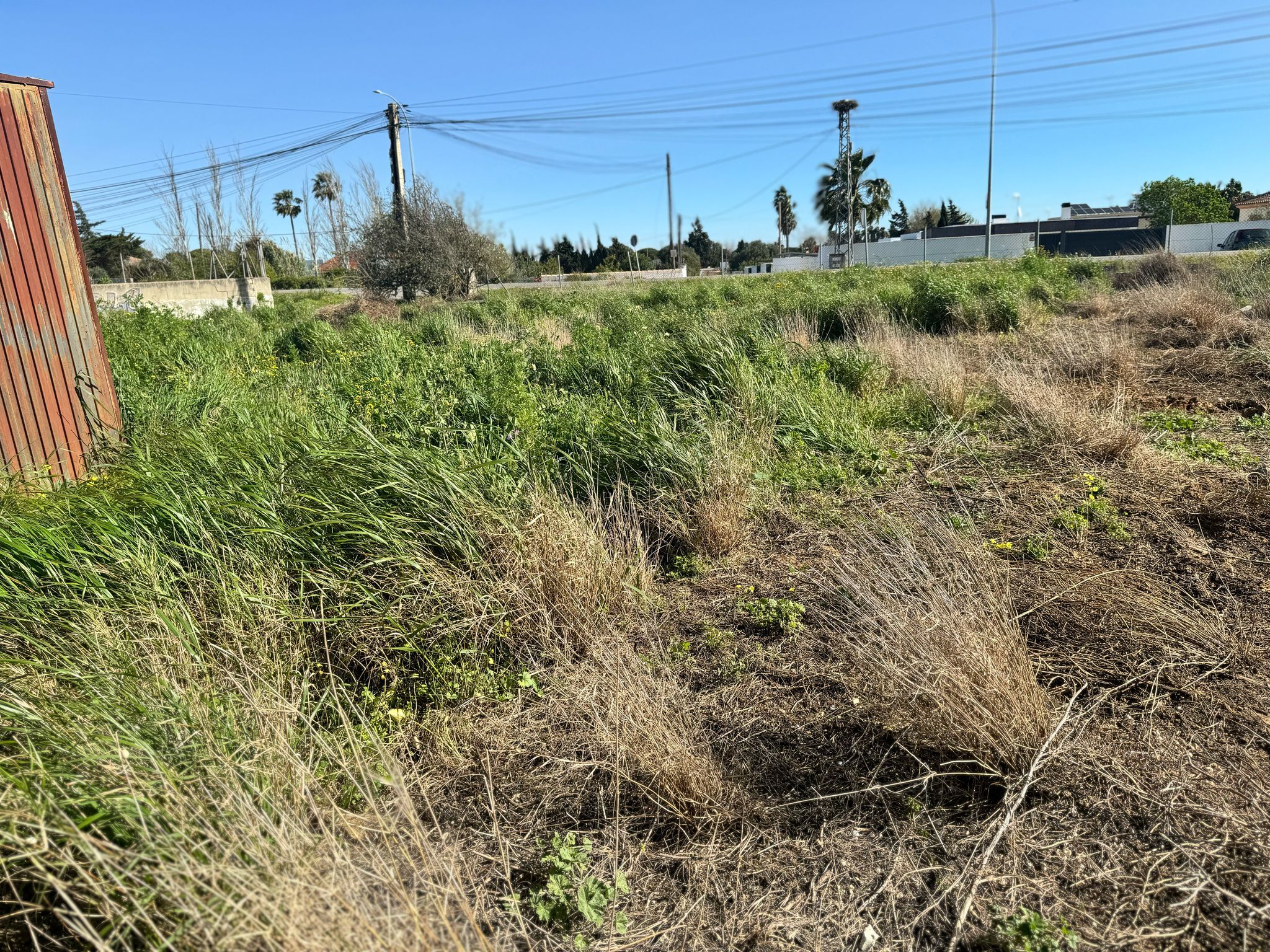 Fincas y solares-Venta-Chiclana de la Frontera-1716022-Foto-4