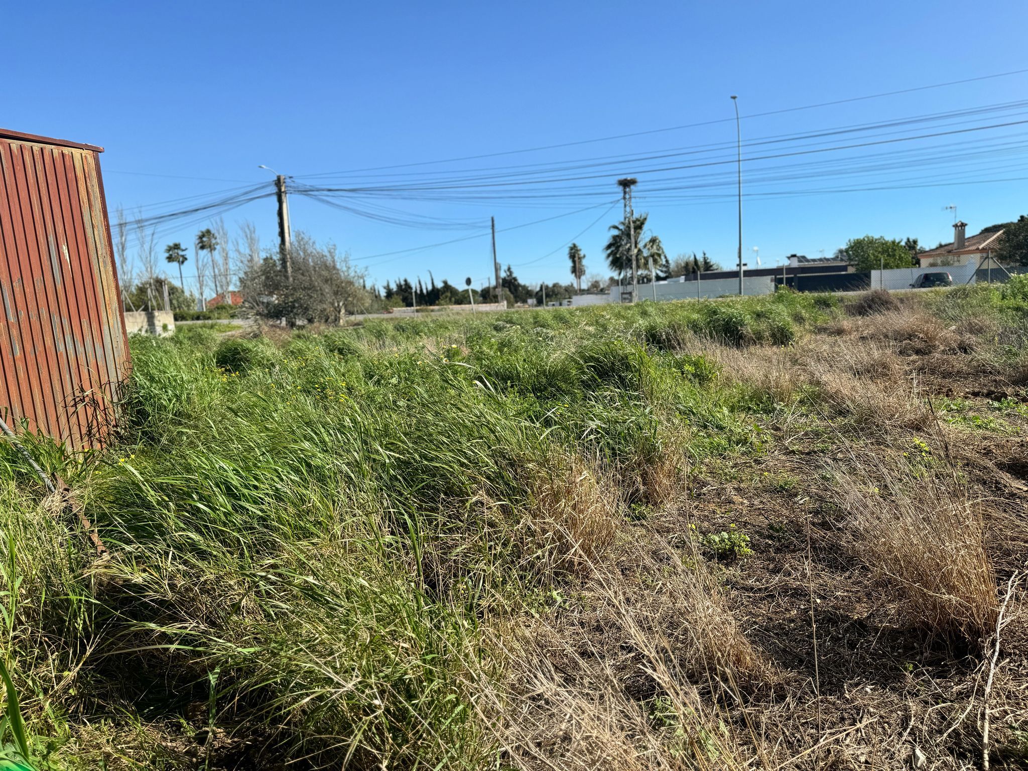 Fincas y solares-Venta-Chiclana de la Frontera-1716022-Foto-5