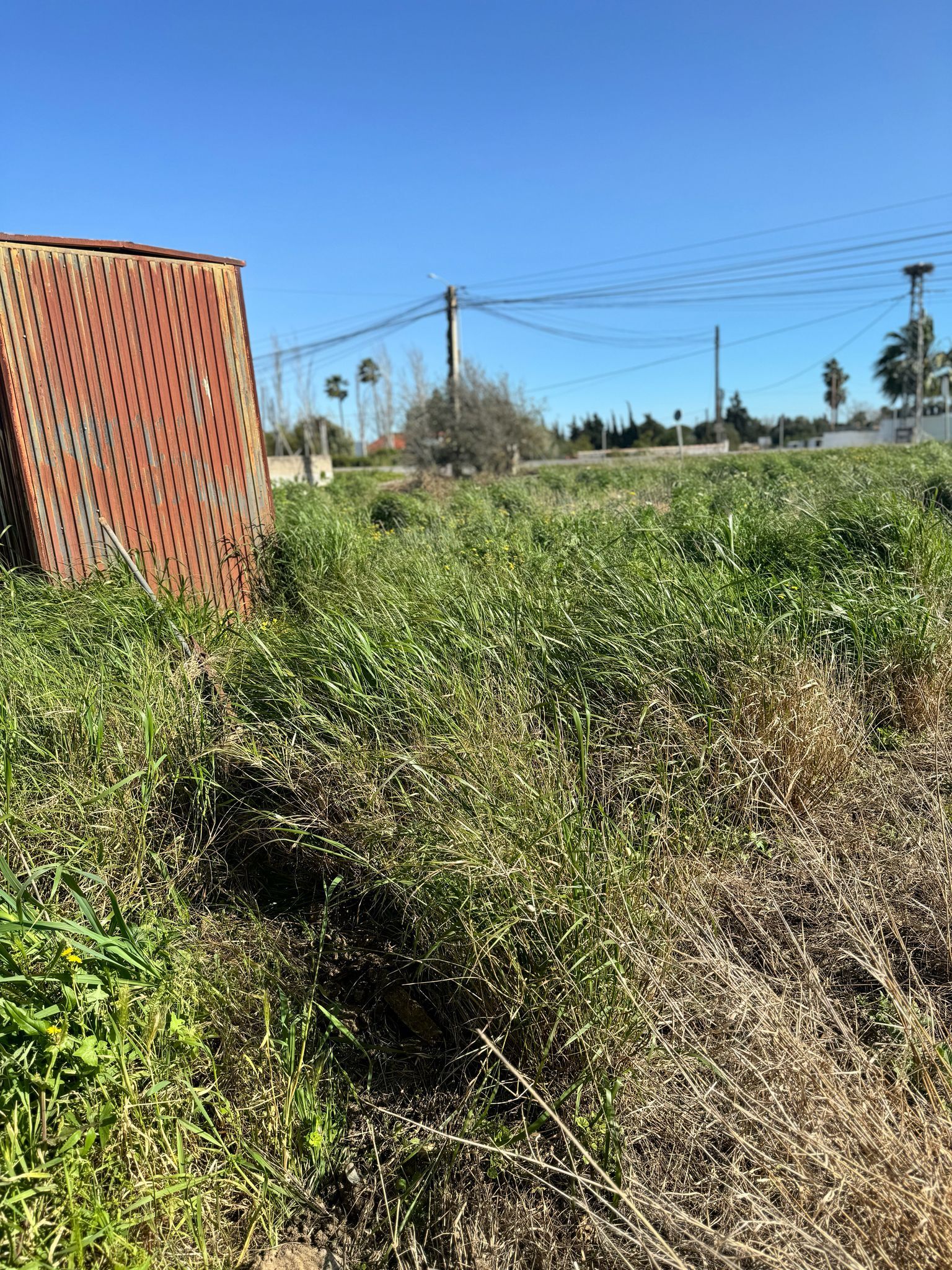 Fincas y solares-Venta-Chiclana de la Frontera-1716022-Foto-2