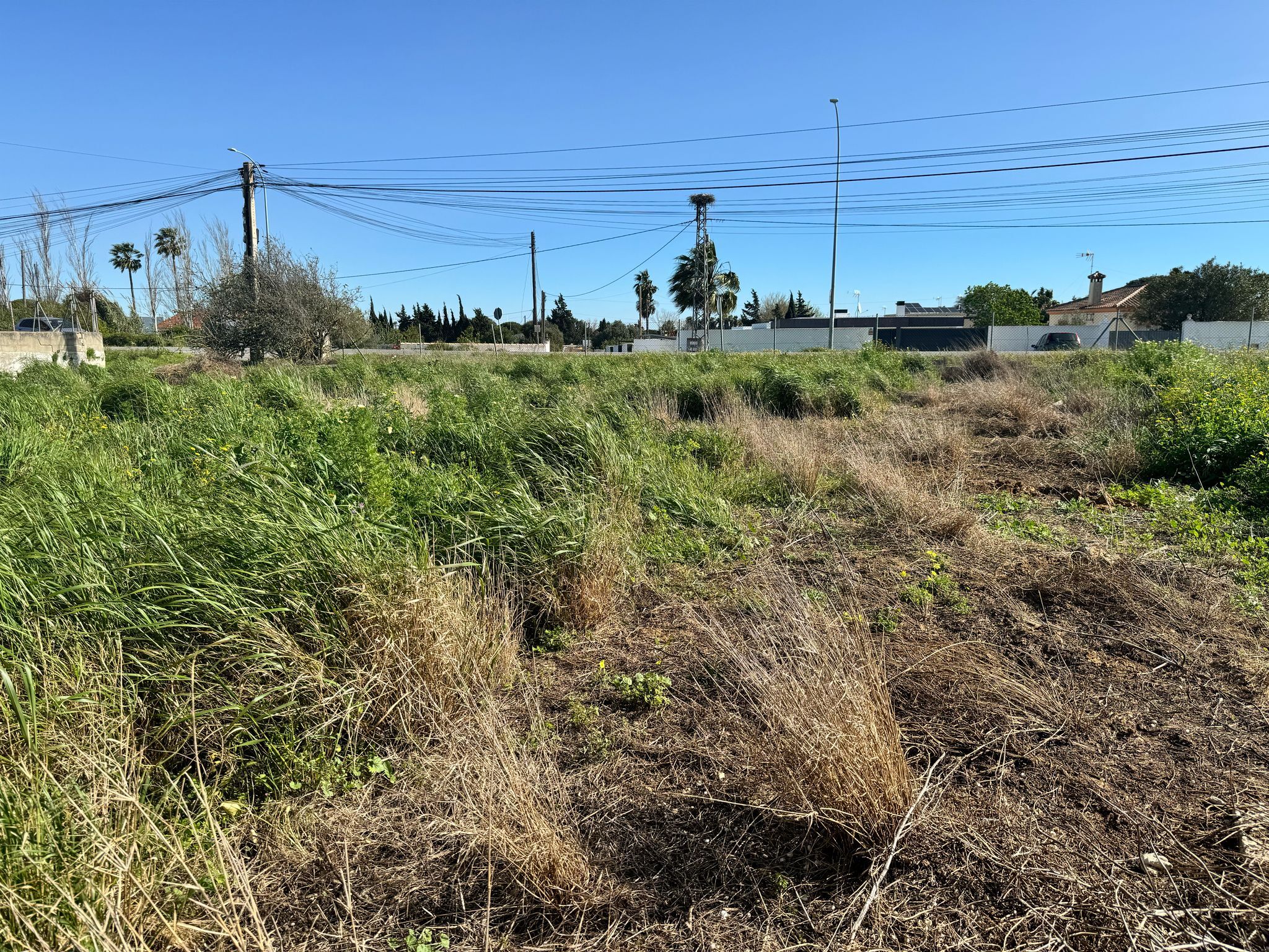Fincas y solares-Venta-Chiclana de la Frontera-1716022-Foto-8