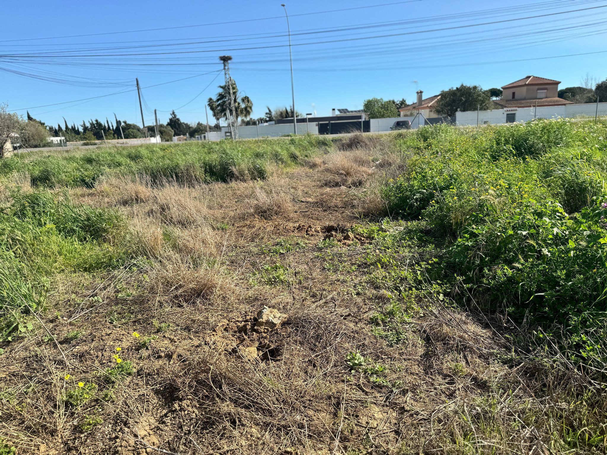 Fincas y solares-Venta-Chiclana de la Frontera-1716022-Foto-10