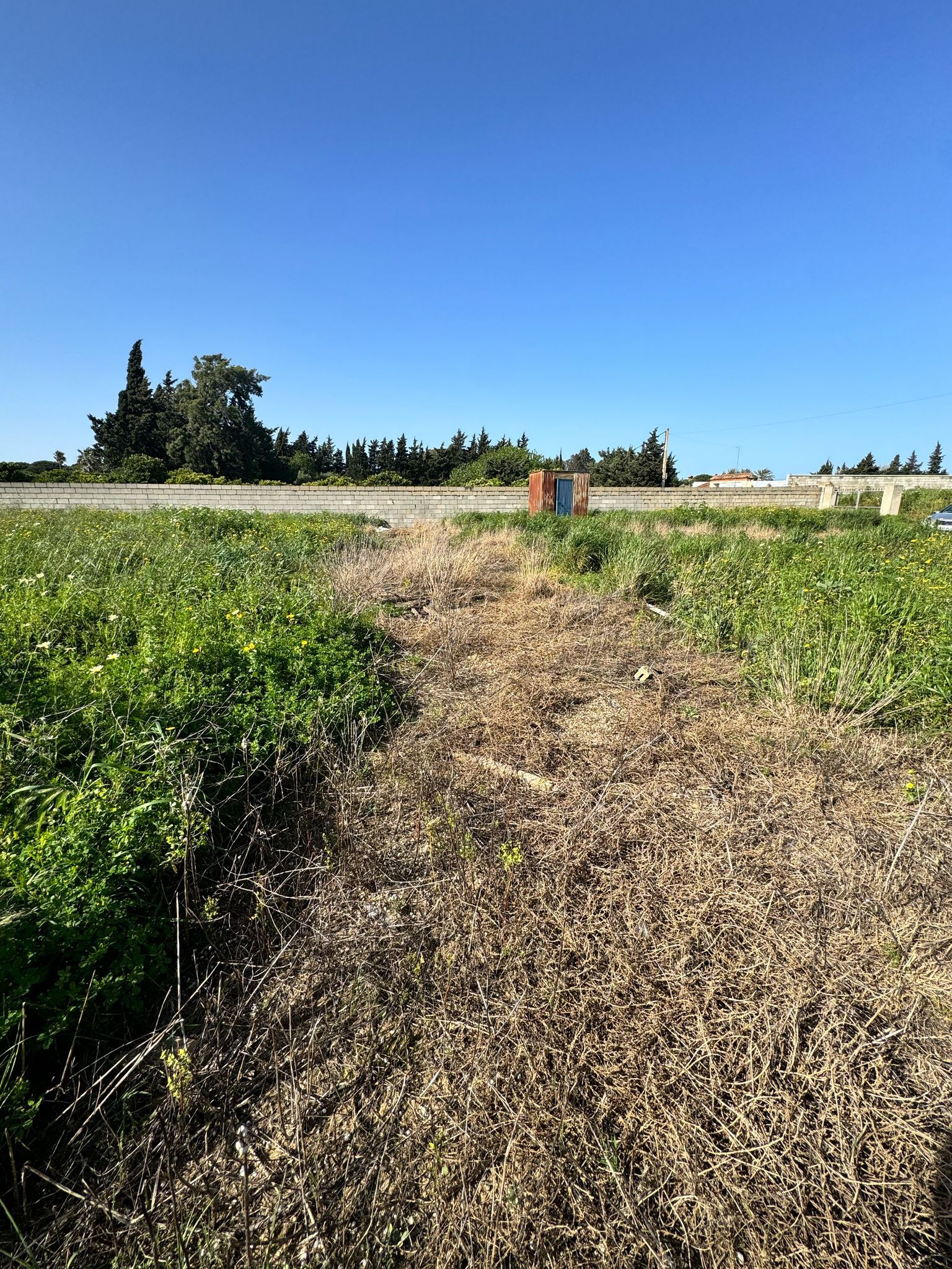 Fincas y solares-Venta-Chiclana de la Frontera-1716022-Foto-11