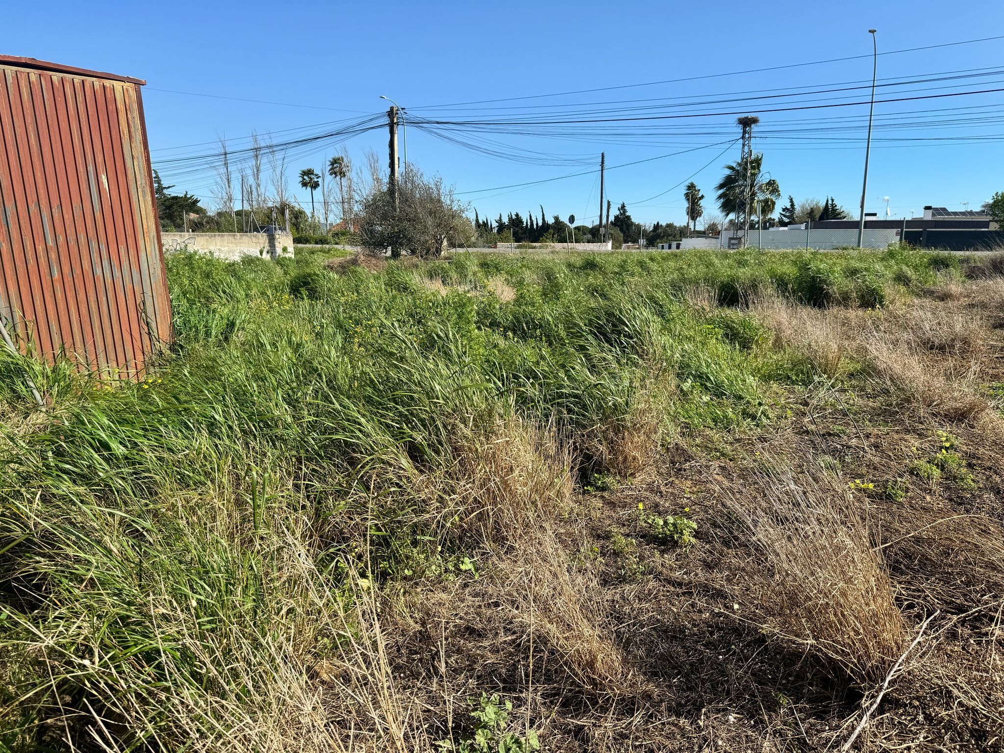 Fincas y solares-Venta-Chiclana de la Frontera-1716022-Foto-12