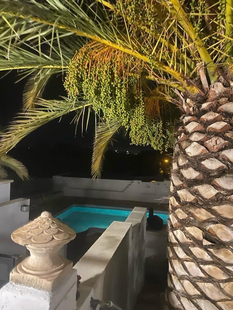 Casas o chalets-Venta-Alicante-1659257-Foto-55