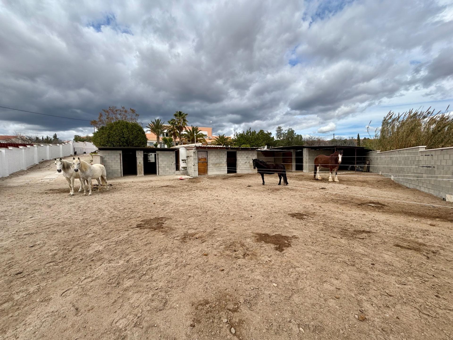 Casas o chalets-Venta-Alicante-1659257-Foto-71